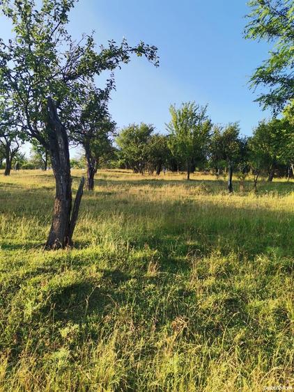 Teren de 2700 mp, în Dobreni