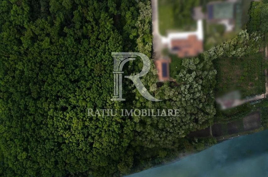 Teren extravilan de 9000 mp, în Buduslău