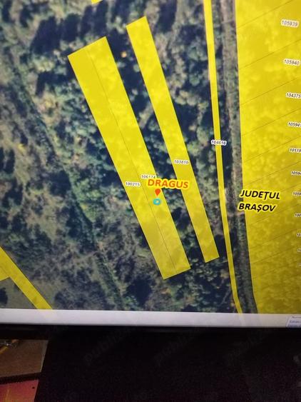 Teren de 1600 mp, în Voila