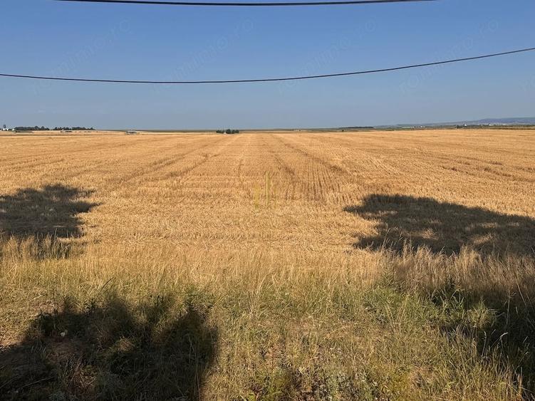 Teren de vanzare 10.200 mp, PlopeniSalcea, zona Aeroportului Suceava - 8