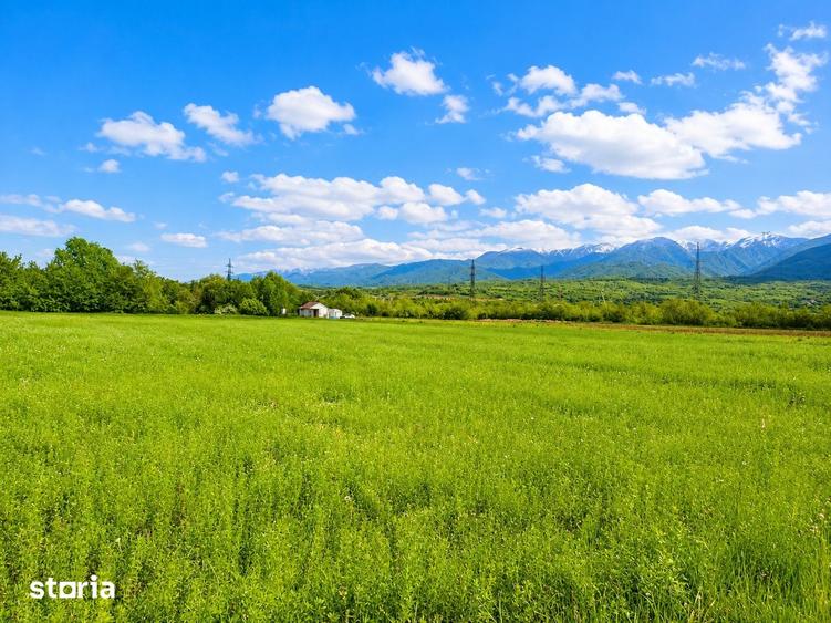 Teren de 2800 mp, în Turnu Roșu