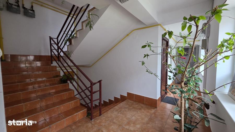 Apartament cu o camera Visani - 1
