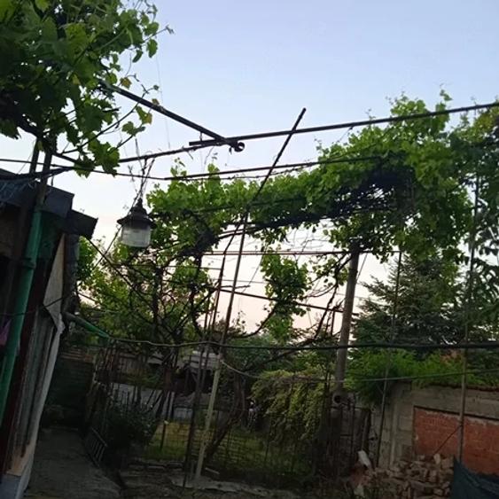 Casă cu 3 camere cu Teren 255 Mp în Central