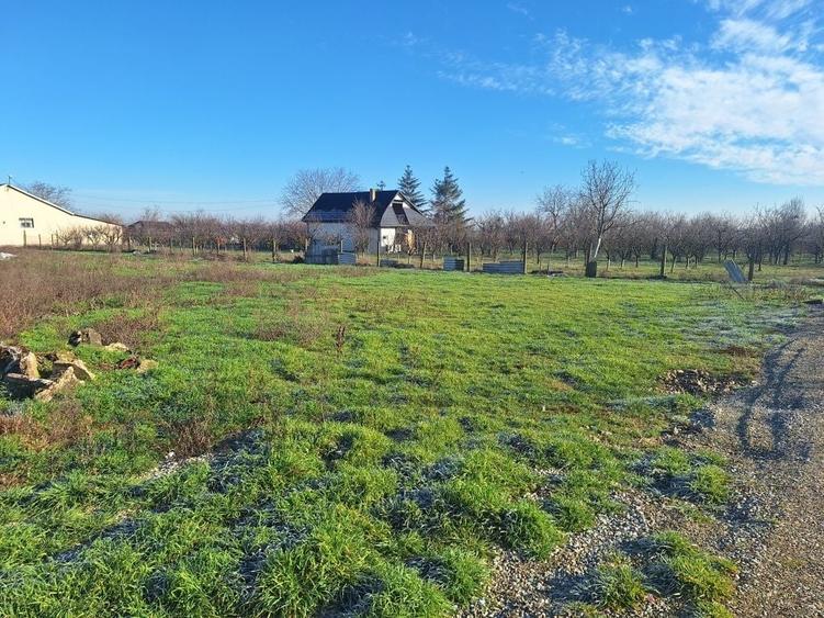 Teren de 6285 mp, în Tărian