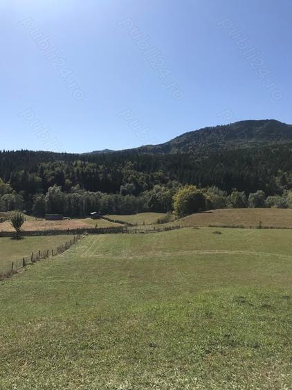 Teren de 6600 mp, în Cuejdiu