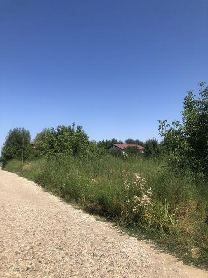 Teren de 1580 mp, în Domnești