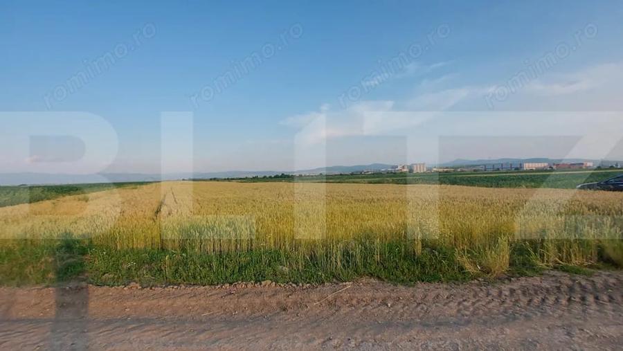 Teren de 9900 mp, în Moacșa