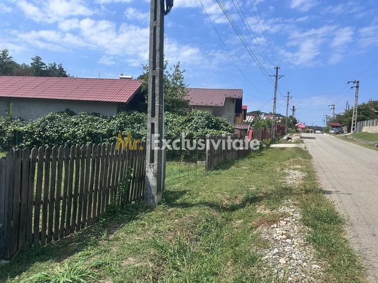 Teren Construcții intravilan de 1640 mp, în Băbana