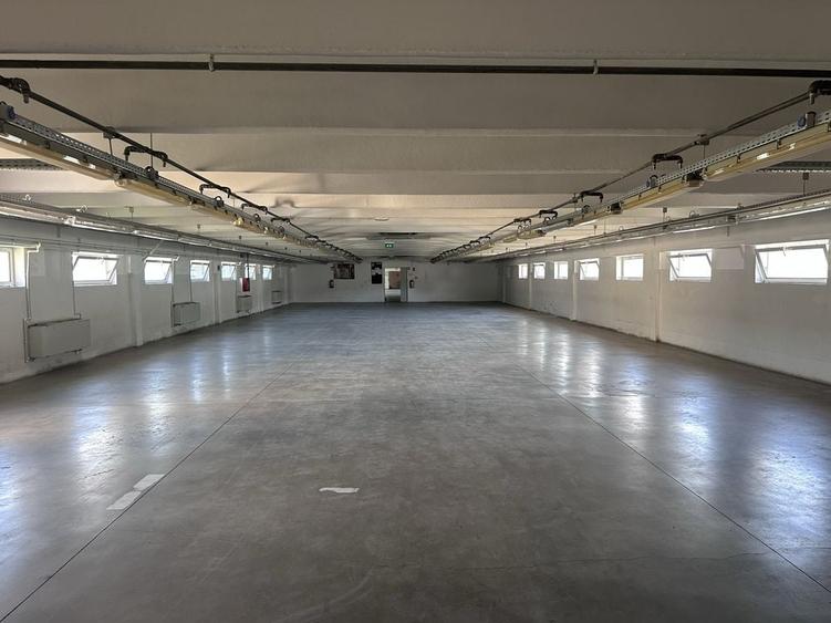 Spațiu comercial, de 1,000 mp, în Bălata