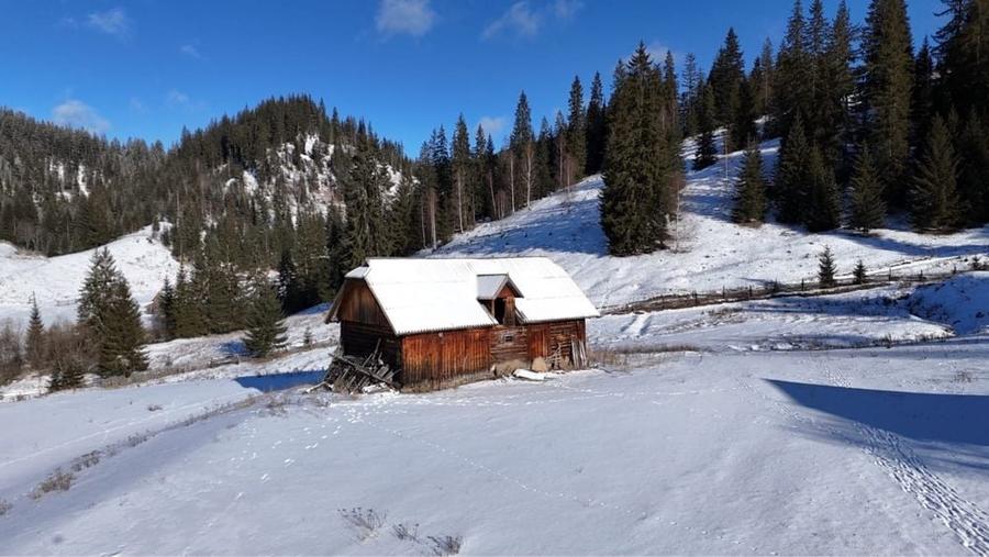 Vand /schimb cu auto teren 3,6 ha cu Lac INTRAVILAN munte Bucovina - 4
