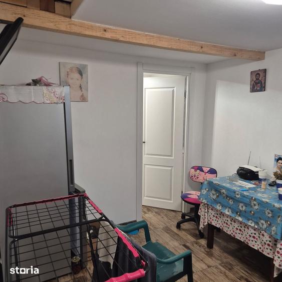 Casă cu 5 camere cu Teren 5000 Mp în Vidra