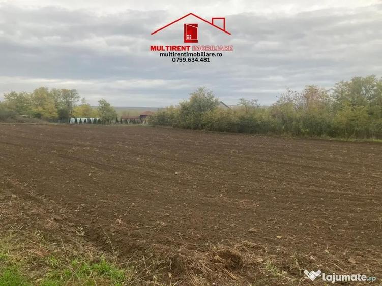Casă cu 3 camere cu Teren 3895 Mp în Rândunica