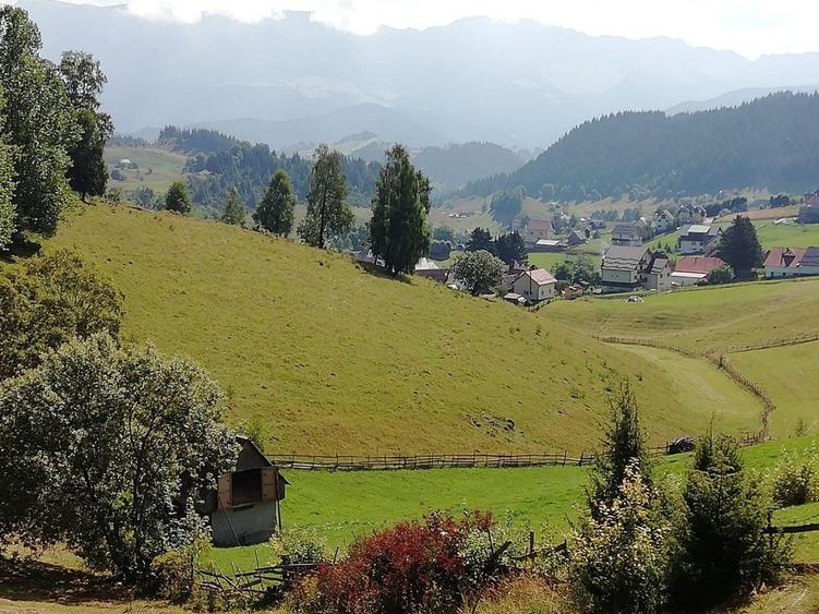 Teren agricol extravilan de 17537 mp, în Fundata