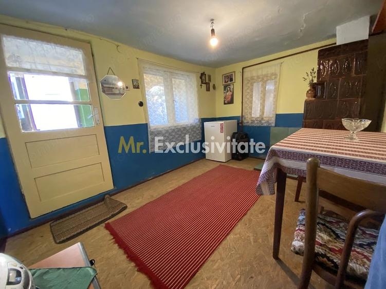 CASA + TEREN 1.002 MP | Stefanesti Valea Mare Enculescu-Arges - 4