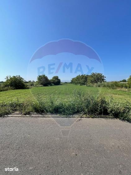 Teren de 4370 mp, în Central