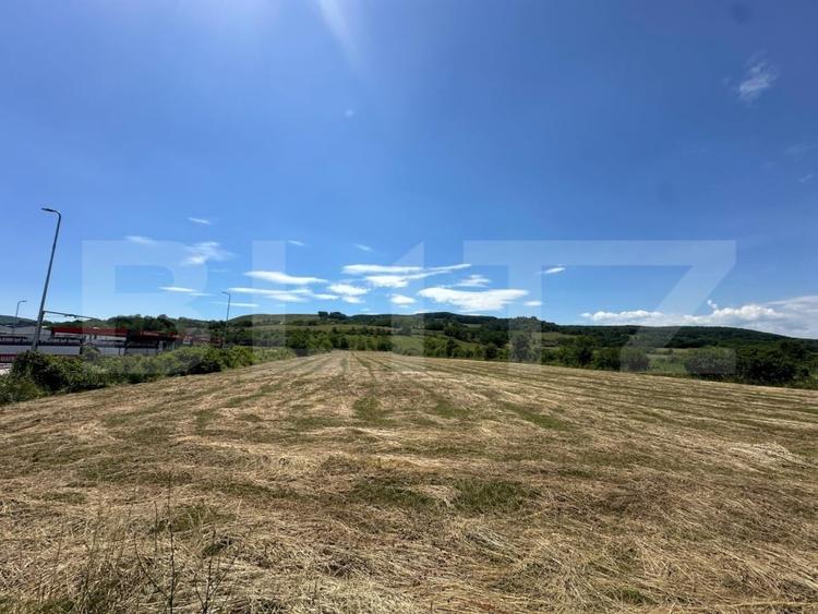 Teren Construcții intravilan de 12647 mp, în Cugir