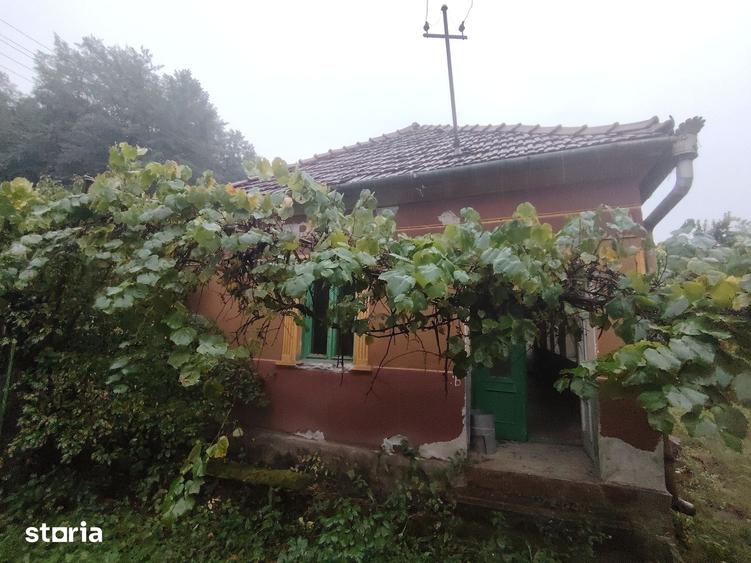 Casă cu 6 camere cu Teren 4800 Mp în Bârzava