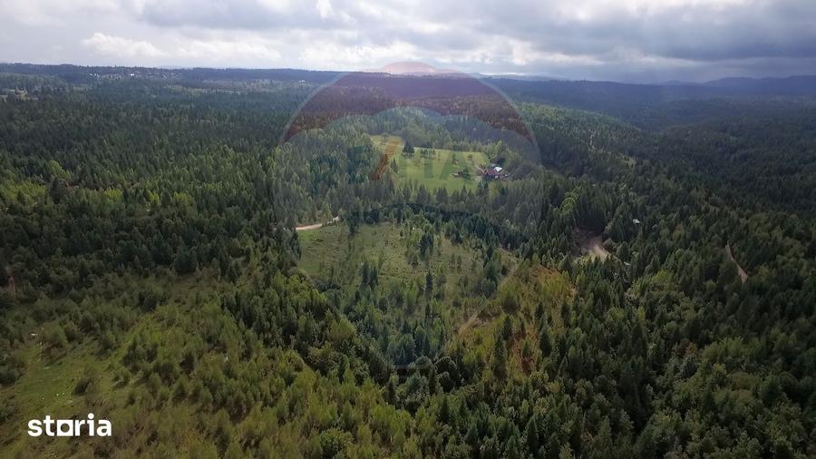 Teren extravilan parcelabil Cala?ele Padure, zona Dealu Negru - 15