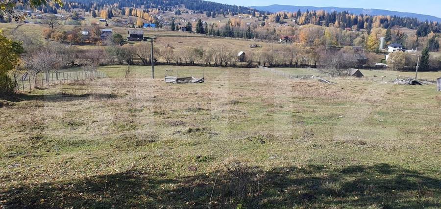 Teren Construcții intravilan de 14329 mp, în Vatra Dornei
