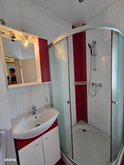 Apartament recent renovat 1 camera, ULTRACENTRAL - 4