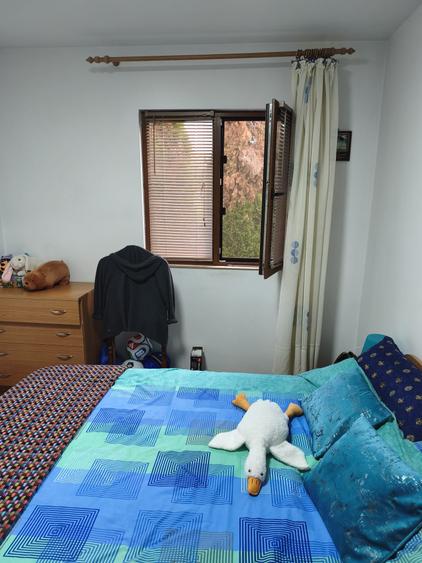 Casă individuală cu 4 camere cu Teren 11000 Mp în Central