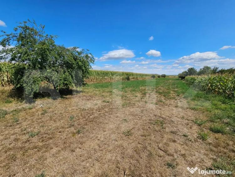 Teren extravilan 2.901 mp cu casa ?i utilita?i Unire - 1