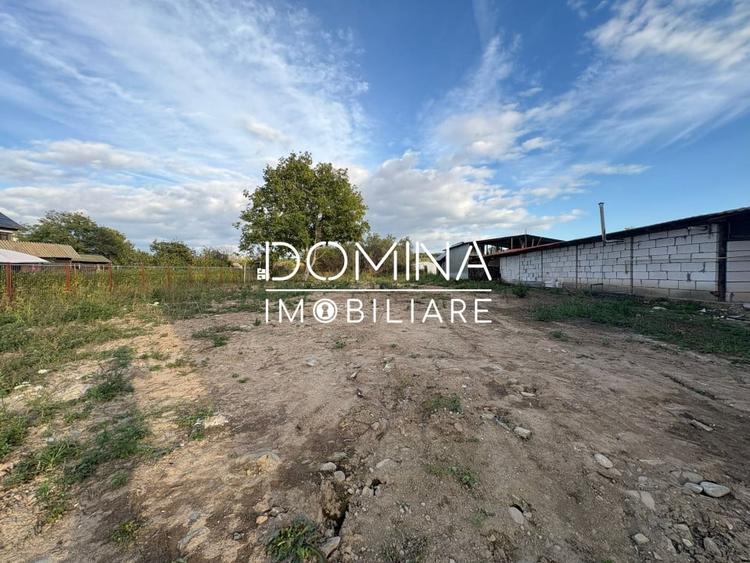Teren Construcții intravilan de 4449 mp, în Curtișoara