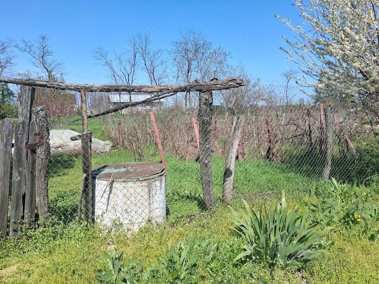 Casă cu Teren 1800 Mp în Căldărușeanca