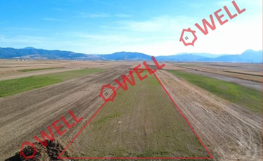 Teren agricol extravilan de 10000 mp, în Prejmer