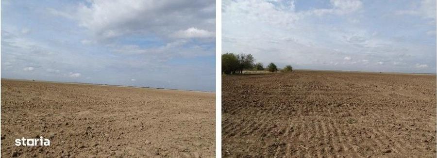 Teren de 5800 mp, în Scurtu Mare