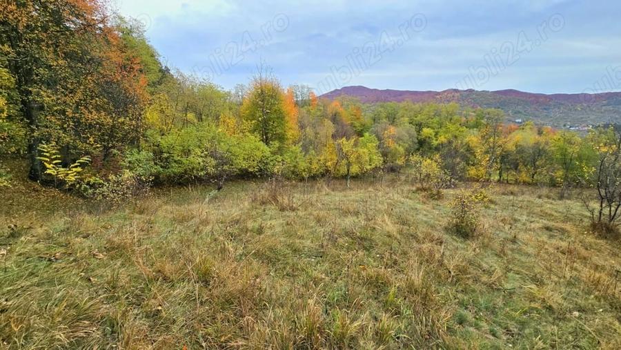 Vand teren la munte, Arges, Corbeni zona Cetatea Poenari Vlad Tepes, Baraj Vidraru - 8