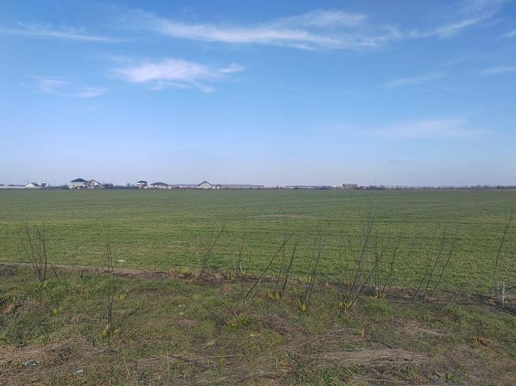 Teren Construcții intravilan de 8650 mp, în Cernica