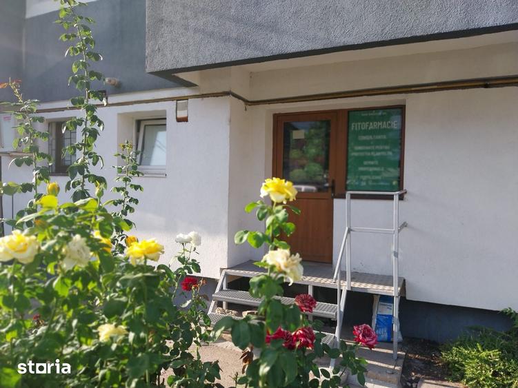Spatiu comercial Pta Mihai Viteazul - 1