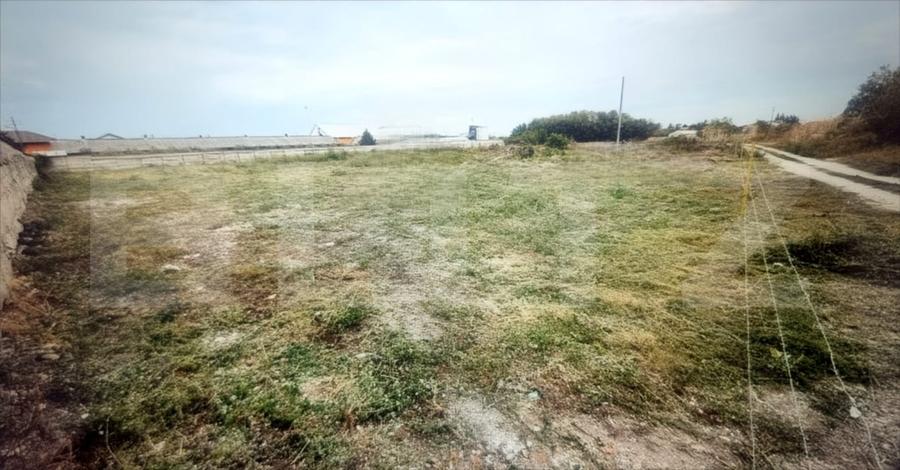 Teren Construcții intravilan de 5000 mp, în Bărcănești