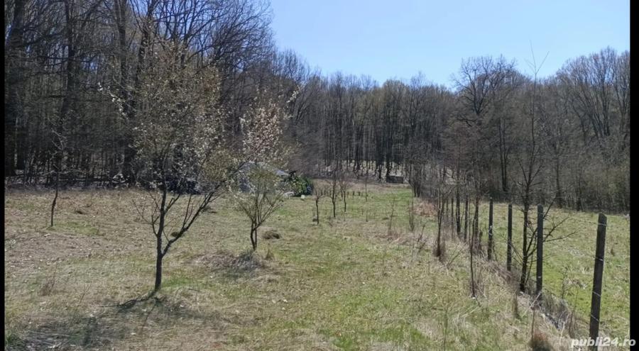 Teren de 4466 mp, în Hârsa