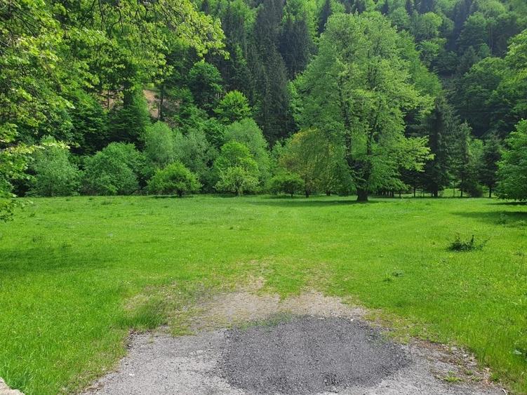Teren Construcții intravilan de 20217 mp, în Exterior Sud