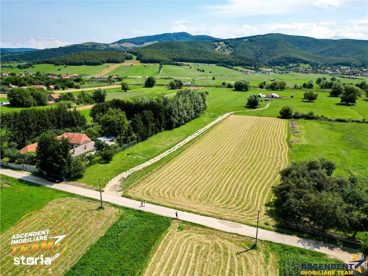 Teren de 2900 mp, în Dobârlău