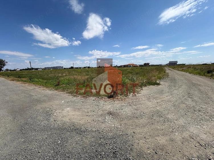 Terenuri in Sacalaz | Investitie | Spatiu comercial | Zona excelenta | - 2