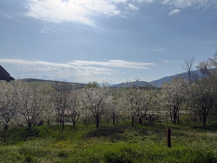 Casă individuală cu 5 camere cu Canalizare în Sadu