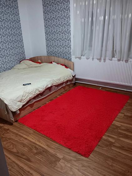 Casă cu Teren 800 Mp în Burila Mare