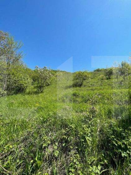 Teren Construcții intravilan de 5800 mp, în Dezmir