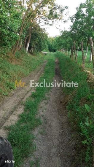 Teren extravilan Pitesti - str. Balotesi!! - 3