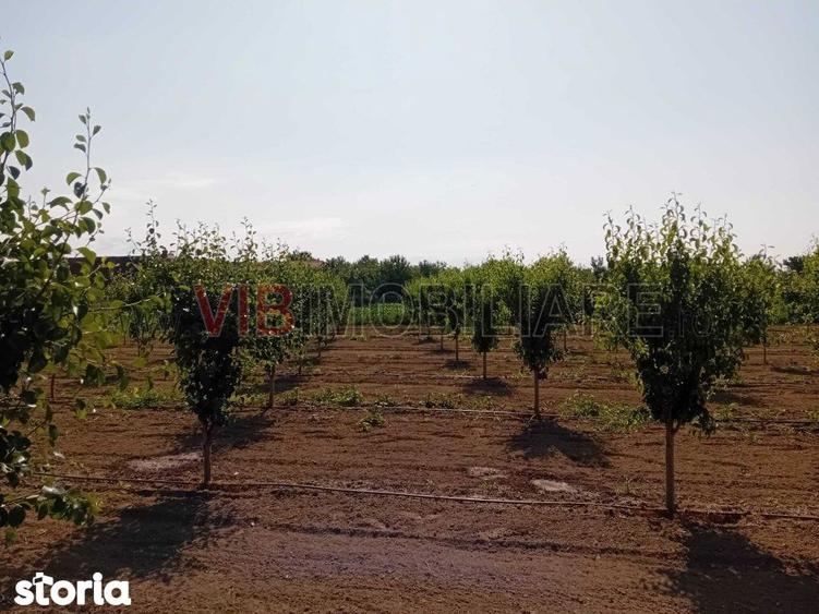 Teren intravilan 16.000 mp | Livada mixta | Front stradal 85 ml | Util - 1