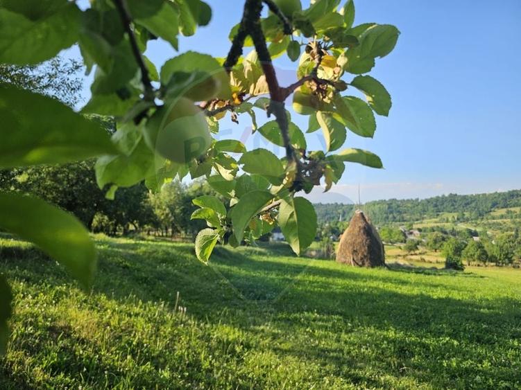 Teren Construcții intravilan de 1247 mp, în Breb