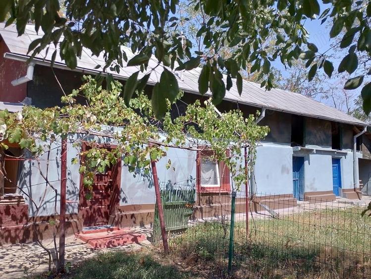 Casă cu 4 camere cu Teren 2800 Mp în Mozăceni