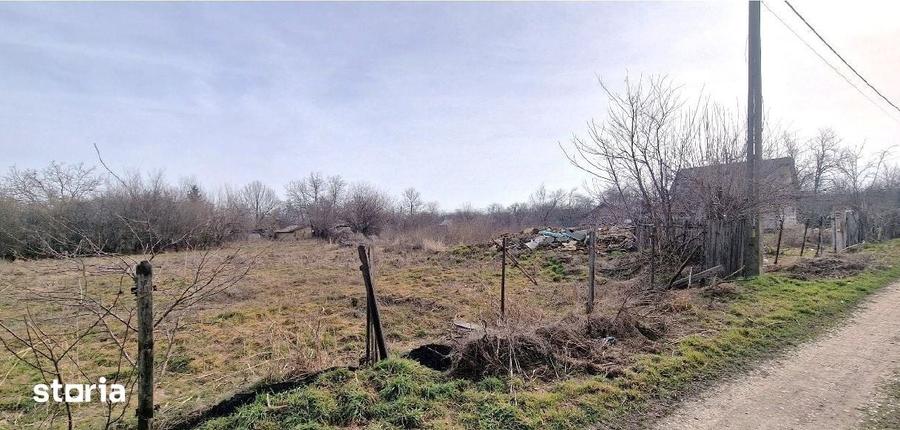 Teren de 2438 mp, în Bărcănești