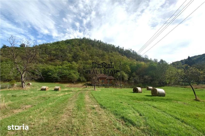 Casă cu 4 camere cu Teren 9563 Mp în Dumbrava
