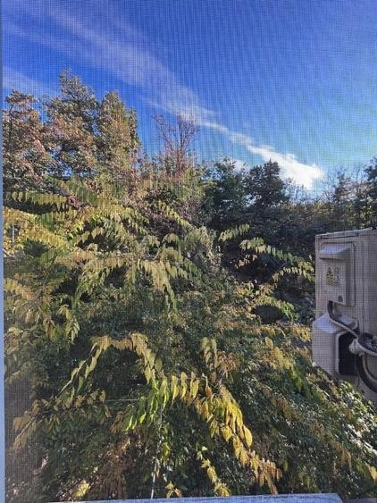 Apartament cu 3 camere semidecomandat, mobilat în Sud