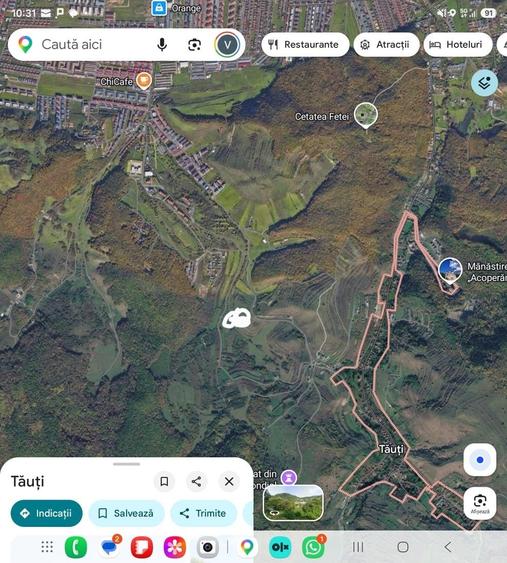 Teren de 10000 mp, în Dosu Bricii
