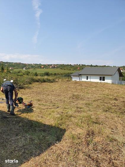 Teren de 8600 mp, în Roșia
